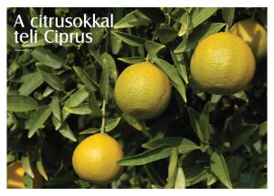 A citrusokkal teli Ciprus Szöveg: Gõgh Csilla