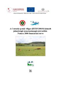 A Csernely-patak völgye (HUBN20019) kiemelt jelentőségű természetmegőrzési terület Natura 2000 fenntartási terve