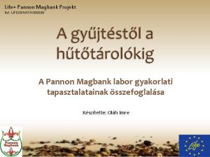 A Pannon Magbank labor gyakorlati tapasztalatainak összefoglalása