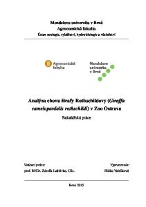 Analýza chovu žirafy Rothschildovy (Giraffa camelopardalis rothschildi) v Zoo Ostrava
