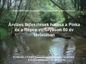 Árvizes fejlesztések hatása a Pinka és a Répce vízfolyáson 50 év távlatában