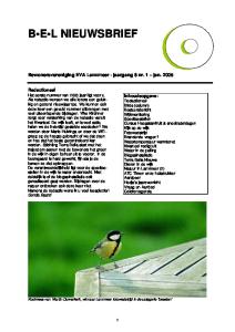 B E L NIEUWSBRIEF. Bewonersvereniging EVA Lanxmeer - jaargang 8 nr. 1 jan. 2005