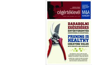 cégértéklevél M&A HEALTHY DARABOLNI EGÉSZSÉGES CREATING VALUE WITH SPIN-OFFS AND CARVE-OUTS ÉRTÉKTEREMTÉS KISZERVEZÉSSEL ÉS KIHASÍTÁSSAL PRUNING IS