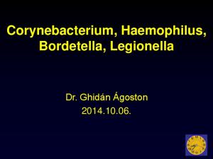 Corynebacterium, Haemophilus, Bordetella, Legionella. Dr. Ghidán Ágoston