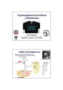 Cytomegalovirové infekce v těhotenství