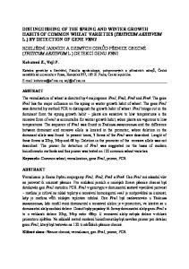 DISTINGUISHING OF THE SPRING AND WINTER GROWTH HABITS OF COMMON WHEAT VARIETIES (TRITICUM AESTIVUM L.) BY DETECTION OF GENE VRN1