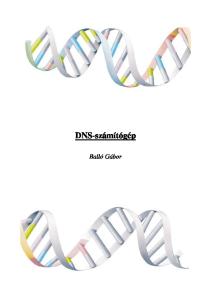 DNS-számítógép. Balló Gábor