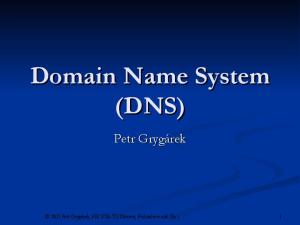 Domain Name System (DNS)