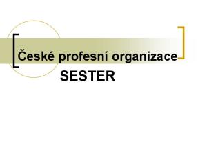 České profesní organizace SESTER