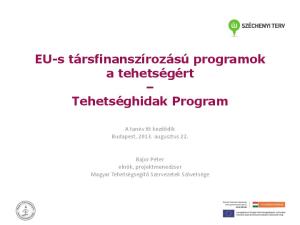 EU-s társfinanszírozású programok a tehetségért. Tehetséghidak Program