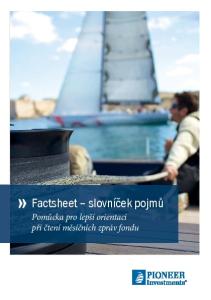 Factsheet slovníček pojmů
