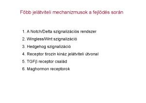 Főbb jelátviteli mechanizmusok a fejlődés során