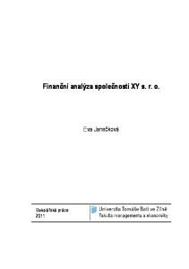 Finanční analýza společnosti XY s. r. o