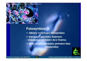 Fotosyntéza III.  Přednáška Fyziologie rostlin MB130P74