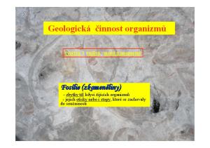 Geologická činnost organizmů