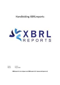 Handleiding XBRLreports