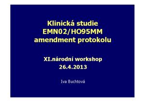 HO95MM amendment protokolu XI.národní workshop