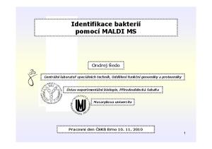 Identifikace bakterií pomocí MALDI MS
