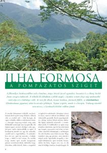 Ilha Formosa, Díszes szûkszájúbéka (Microhyla ornata)