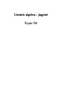 Lineáris algebra - jegyzet. Kupán Pál