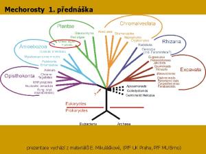 Mechorosty 1. přednáška. prezentace vychází z materiálů E. Mikuláškové, (PřF UK Praha, PřF MU Brno)