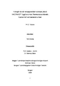 NADP + függő enzimek Thermococcus litoralis hipertermofil archaebaktériumban