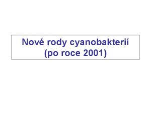 Nové rody cyanobakterií (po roce 2001)