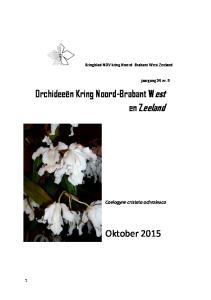 Orchideeën Kring Noord-Brabant West en Zeeland