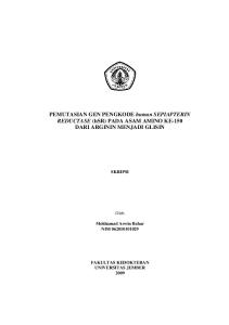 PEMUTASIAN GEN PENGKODE human SEPIAPTERIN REDUCTASE (hsr) PADA ASAM AMINO KE-150 DARI ARGININ MENJADI GLISIN