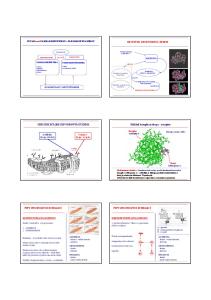 Příklad komplexu droga - receptor SPECIFICKÝ (RECEPTOROVÝ) ÚČINEK RECEPTOR; RECEPTOROVÁ TEORIE. molekula (droga, substrát) komplex droga - receptor