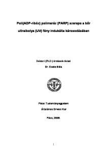 Poli(ADP-ribóz) polimeráz (PARP) szerepe a bőr. ultraibolya (UV) fény indukálta károsodásában