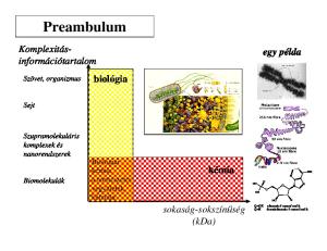 Preambulum. Komplexitásinformációtartalom. egy példa. biológia. kémia. sokaság-sokszínűség (kda) Szövet, organizmus. Sejt