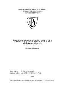 Regulace aktivity proteinu p53 a p63 v lidské epidermis