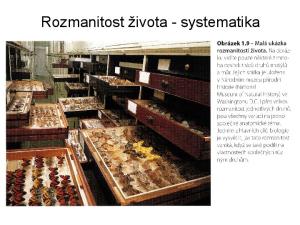 Rozmanitost života - systematika