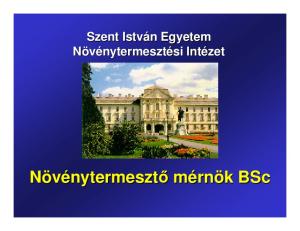 Szent István Egyetem Növénytermesztési Intézet. Növénytermesztı mérnök BSc