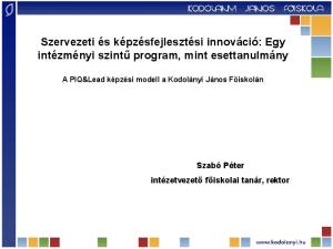 Szervezeti és képzésfejlesztési innováció: Egy intézményi szintű program, mint esettanulmány