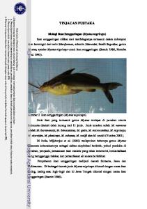 TINJAUAN PUSTAKA Biologi Ikan Senggaringan ( Mystus negriceps