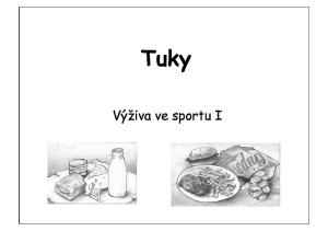 Tuky. Výživa ve sportu I