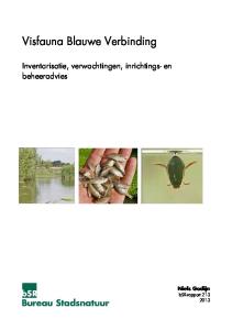 Visfauna Blauwe Verbinding. Inventarisatie, verwachtingen, inrichtings- en beheeradvies