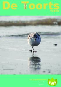 Vogels. IVN Zuid-Kennemerland. Nummer 90. Juni 2013