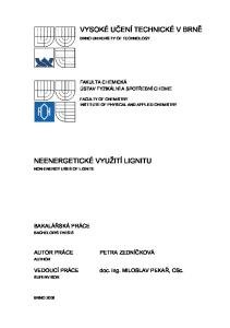 VYSOKÉ UČENÍ TECHNICKÉ V BRNĚ NEENERGETICKÉ VYUŽITÍ LIGNITU BAKALÁŘSKÁ PRÁCE FAKULTA CHEMICKÁ ÚSTAV FYZIKÁLNÍ A SPOTŘEBNÍ CHEMIE