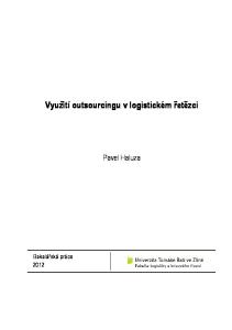 Využití outsourcingu v logistickém řetězci. Pavel Haluza