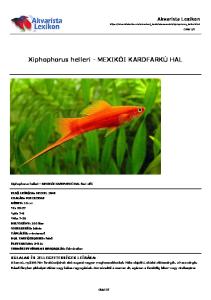 Xiphophorus helleri - MEXIKÓI KARDFARKÚ HAL