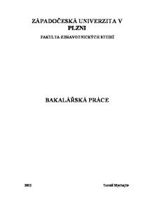 ZÁPADOČESKÁ UNIVERZITA V PLZNI BAKALÁŘSKÁ PRÁCE