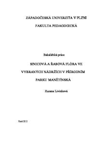 ZÁPADOČESKÁ UNIVERZITA V PLZNI FAKULTA PEDAGOGICKÁ